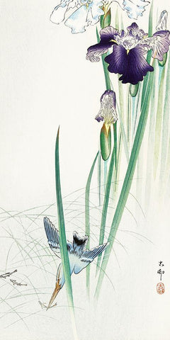 Kingfisher and irises White Modern Wood Framed Art Print with Double Matting by Koson, Ohara