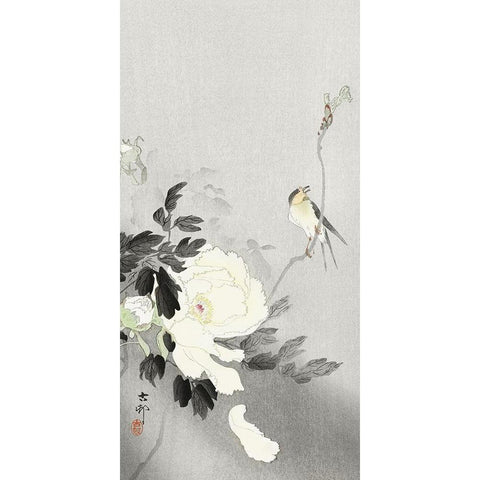 Swallow with Peony Black Modern Wood Framed Art Print with Double Matting by Koson, Ohara