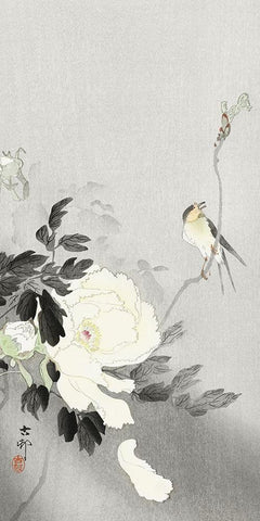 Swallow with Peony Black Ornate Wood Framed Art Print with Double Matting by Koson, Ohara