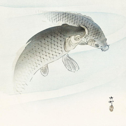 Two carp fish Black Modern Wood Framed Art Print with Double Matting by Koson, Ohara