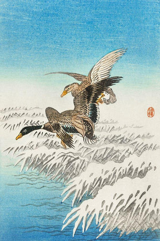 Pair of ducks flying over snowy reed collar Black Ornate Wood Framed Art Print with Double Matting by Koson, Ohara