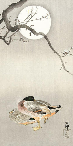 Ducks at full moon Black Ornate Wood Framed Art Print with Double Matting by Koson, Ohara