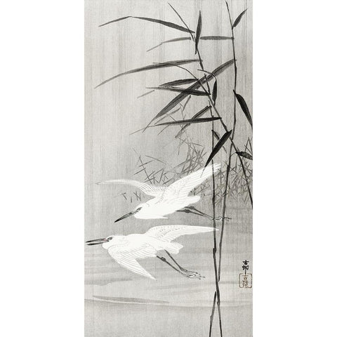 Two egrets in flight White Modern Wood Framed Art Print by Koson, Ohara