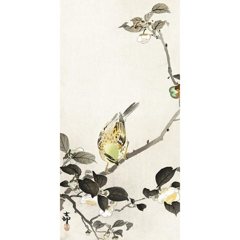 Bunting on blossom branch White Modern Wood Framed Art Print by Koson, Ohara