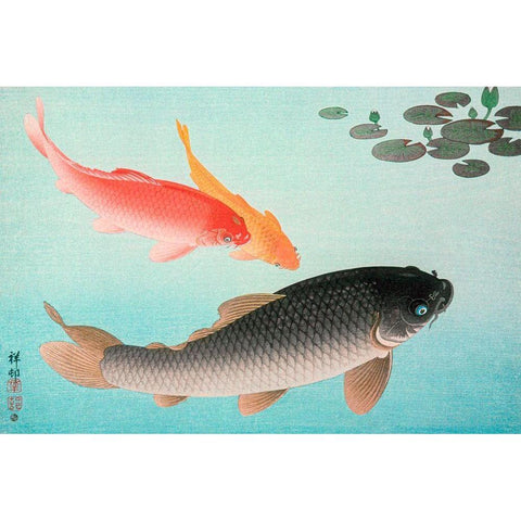 Common and Golden Carp Black Modern Wood Framed Art Print with Double Matting by Koson, Ohara