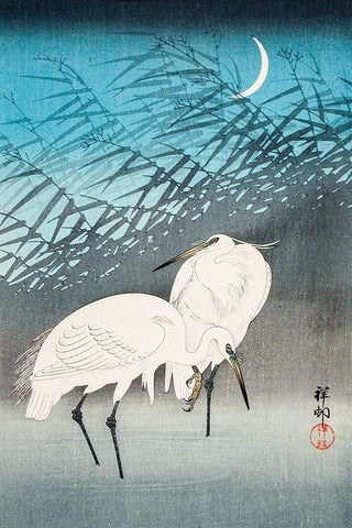 Egrets and Reeds in Moonlight Black Ornate Wood Framed Art Print with Double Matting by Koson, Ohara