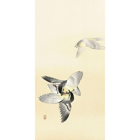 Two fighting birds Black Modern Wood Framed Art Print with Double Matting by Koson, Ohara