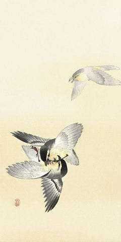 Two fighting birds Black Ornate Wood Framed Art Print with Double Matting by Koson, Ohara