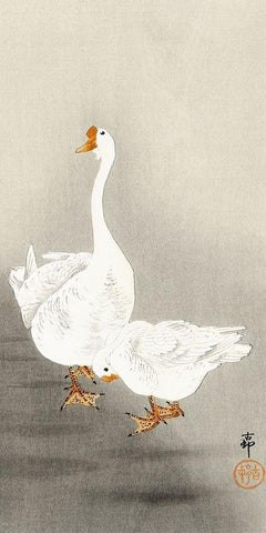 Two geese White Modern Wood Framed Art Print with Double Matting by Koson, Ohara