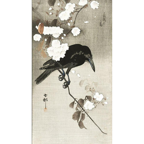 Crow with cherry blossom Gold Ornate Wood Framed Art Print with Double Matting by Koson, Ohara