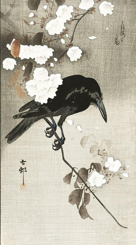 Crow with cherry blossom White Modern Wood Framed Art Print with Double Matting by Koson, Ohara