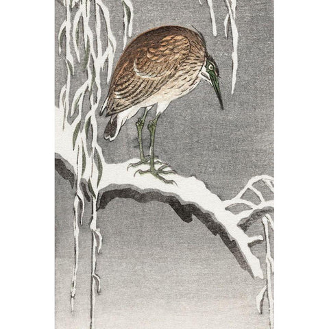 Heron on snowy tree branch Black Modern Wood Framed Art Print with Double Matting by Koson, Ohara