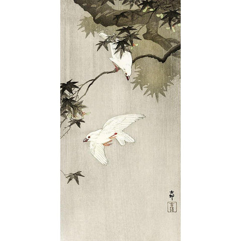 Birds in rain Black Modern Wood Framed Art Print with Double Matting by Koson, Ohara