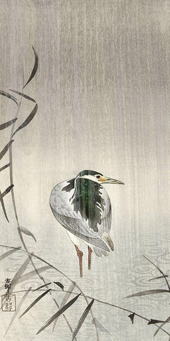 Kwak in rain Black Ornate Wood Framed Art Print with Double Matting by Koson, Ohara