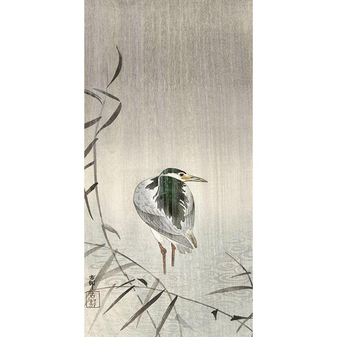 Kwak in rain Gold Ornate Wood Framed Art Print with Double Matting by Koson, Ohara