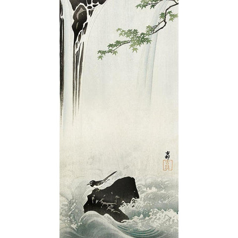 Japanese wagtail at waterfall Black Modern Wood Framed Art Print with Double Matting by Koson, Ohara