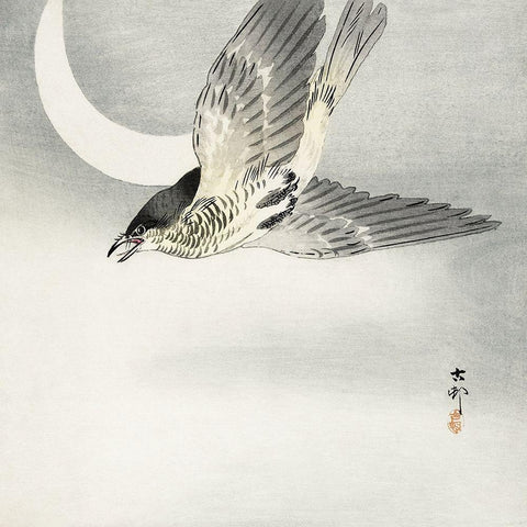 Cuckoo at crescent moon White Modern Wood Framed Art Print with Double Matting by Koson, Ohara