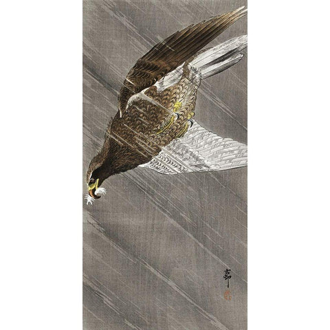 Downward flying eagle Gold Ornate Wood Framed Art Print with Double Matting by Koson, Ohara