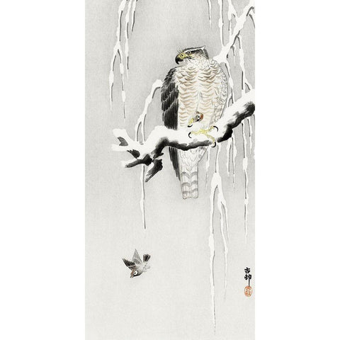 Hawk with captured ring sparrow White Modern Wood Framed Art Print by Koson, Ohara