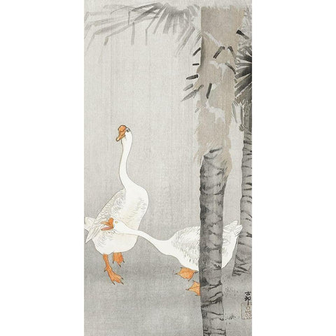 Tame geese in rain Black Modern Wood Framed Art Print with Double Matting by Koson, Ohara