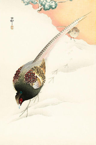 Pheasant couple in the snow Black Ornate Wood Framed Art Print with Double Matting by Koson, Ohara