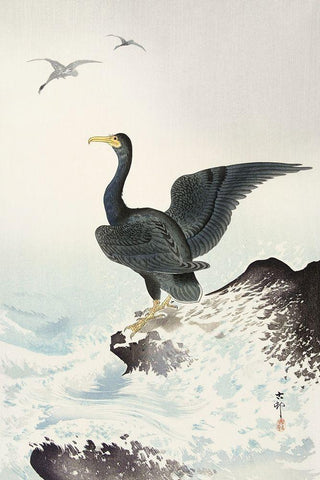 Red mask cormorant on rock Black Ornate Wood Framed Art Print with Double Matting by Koson, Ohara