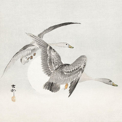 Two colt geese in flight Gold Ornate Wood Framed Art Print with Double Matting by Koson, Ohara