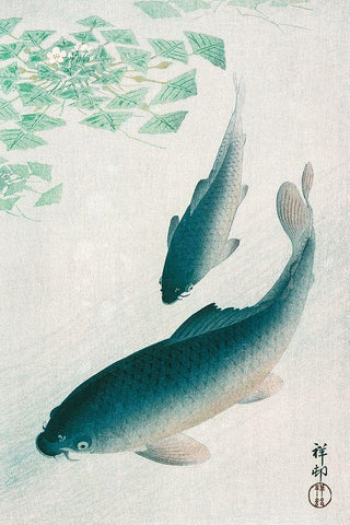 Carp or Koi Black Ornate Wood Framed Art Print with Double Matting by Koson, Ohara