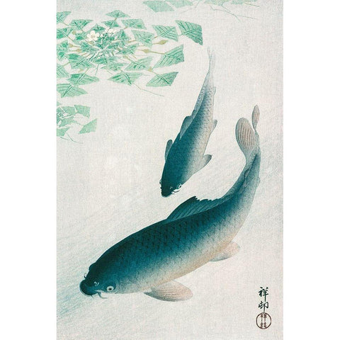 Carp or Koi White Modern Wood Framed Art Print by Koson, Ohara