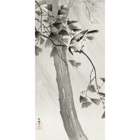 Long-tailed tit in storm Black Modern Wood Framed Art Print with Double Matting by Koson, Ohara