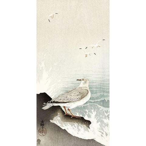 Gull on rock White Modern Wood Framed Art Print by Koson, Ohara