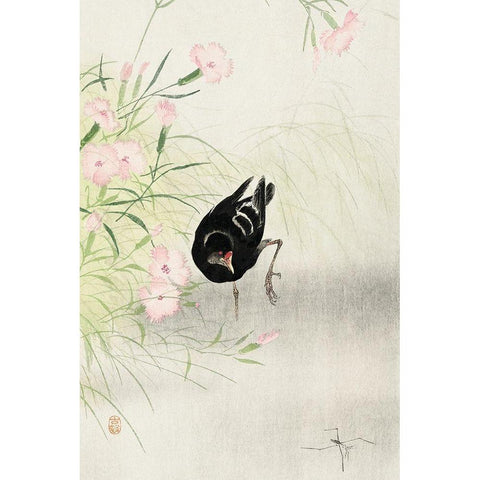 Moorhen at flowering plant Black Modern Wood Framed Art Print with Double Matting by Koson, Ohara