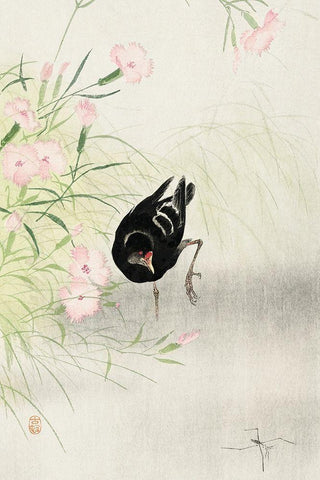 Moorhen at flowering plant White Modern Wood Framed Art Print with Double Matting by Koson, Ohara