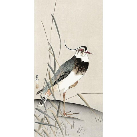 Lapwing and reed Gold Ornate Wood Framed Art Print with Double Matting by Koson, Ohara