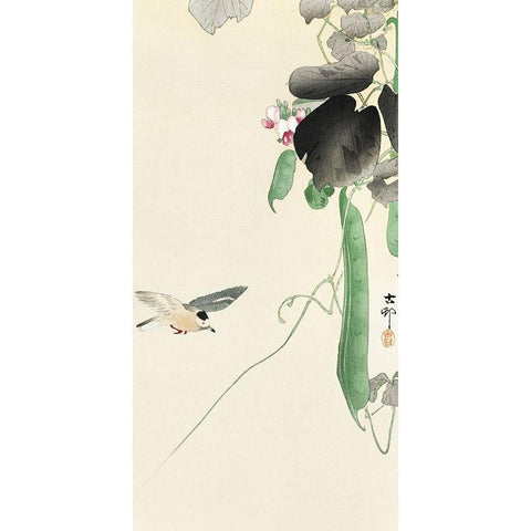 Bird at flowering bean plant Black Modern Wood Framed Art Print with Double Matting by Koson, Ohara