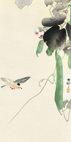 Bird at flowering bean plant White Modern Wood Framed Art Print with Double Matting by Koson, Ohara