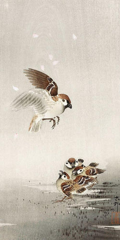 Tree sparrow with babies Black Ornate Wood Framed Art Print with Double Matting by Koson, Ohara