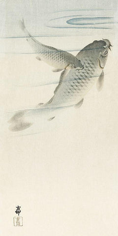 Carp White Modern Wood Framed Art Print with Double Matting by Koson, Ohara