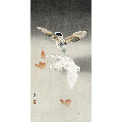 Two pigeons with falling ginkgo leaves White Modern Wood Framed Art Print by Koson, Ohara