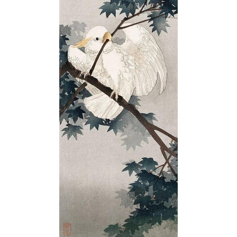 Yellow crested cockatoo in tree Black Modern Wood Framed Art Print with Double Matting by Koson, Ohara