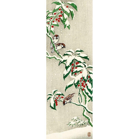 Sparrows on snowy berry bush White Modern Wood Framed Art Print by Koson, Ohara