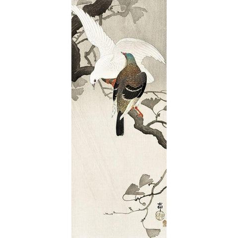 Two pigeons on a branch Black Modern Wood Framed Art Print with Double Matting by Koson, Ohara