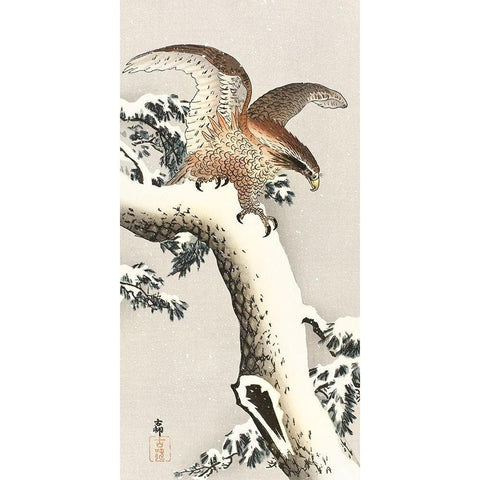 Eagle on a tree branch White Modern Wood Framed Art Print by Koson, Ohara