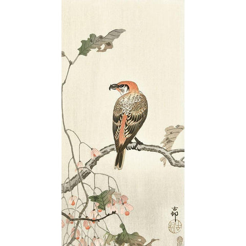 Crossbill on tree branch White Modern Wood Framed Art Print by Koson, Ohara