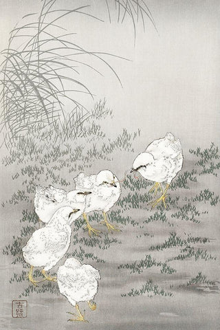 Five chicks Black Ornate Wood Framed Art Print with Double Matting by Koson, Ohara