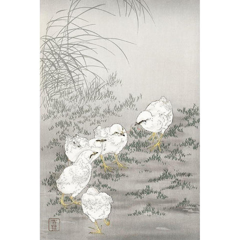 Five chicks White Modern Wood Framed Art Print by Koson, Ohara