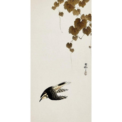 Bird in downward flight White Modern Wood Framed Art Print by Koson, Ohara