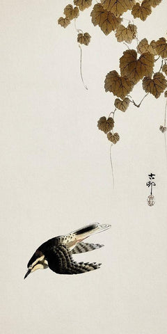 Bird in downward flight White Modern Wood Framed Art Print with Double Matting by Koson, Ohara