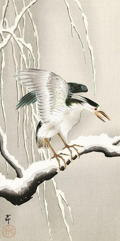 Emerge on snowy branch White Modern Wood Framed Art Print with Double Matting by Koson, Ohara