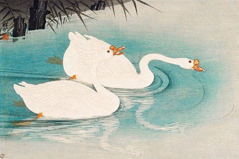 Geese amid Reeds White Modern Wood Framed Art Print with Double Matting by Koson, Ohara